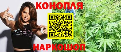 Альфа ПВП Можайск