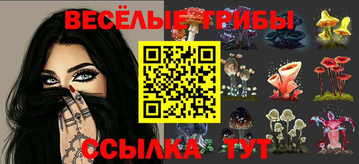 Псилоцибиновые грибы Psilocybe  Вход с VPN  Фрязино 