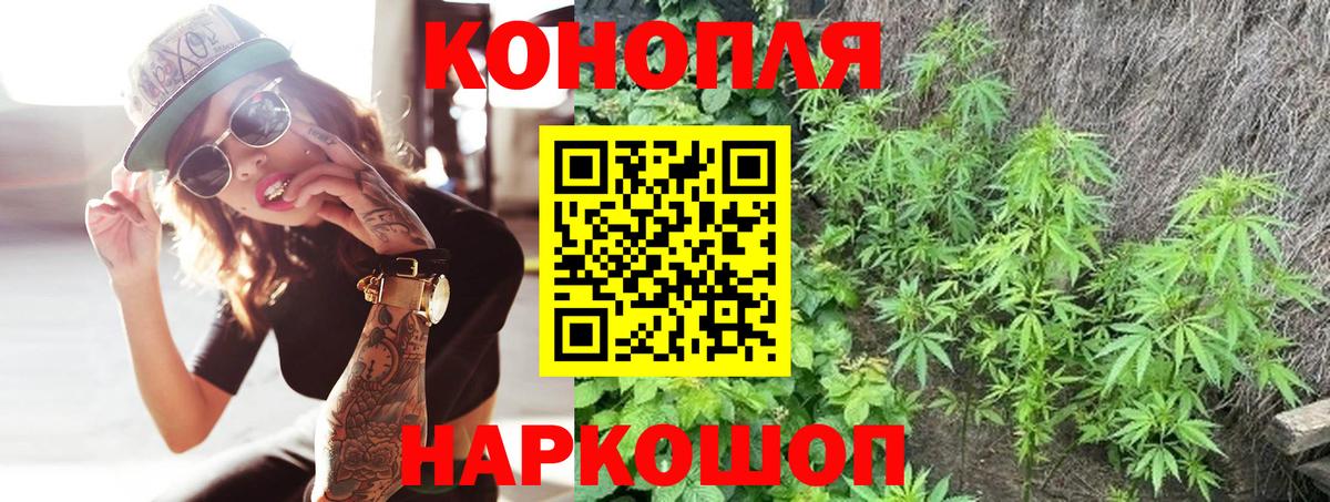 Бошки Шишки семена  Вход с VPN  Фрязино  Марихуана конопля 